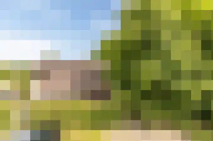 Heuvelweg 2 Vlagtwedde thumbnail 42