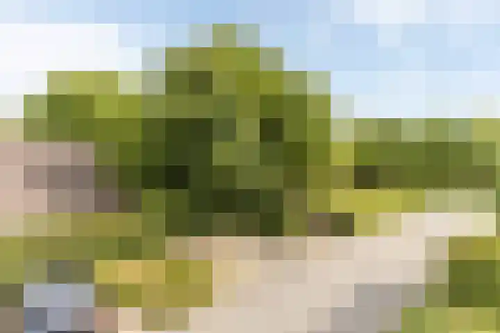 Heuvelweg 2 Vlagtwedde thumbnail 43