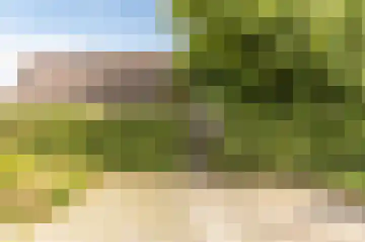Heuvelweg 2 Vlagtwedde thumbnail 44