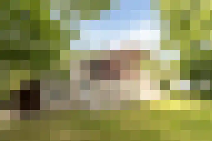 Heuvelweg 2 Vlagtwedde thumbnail 45