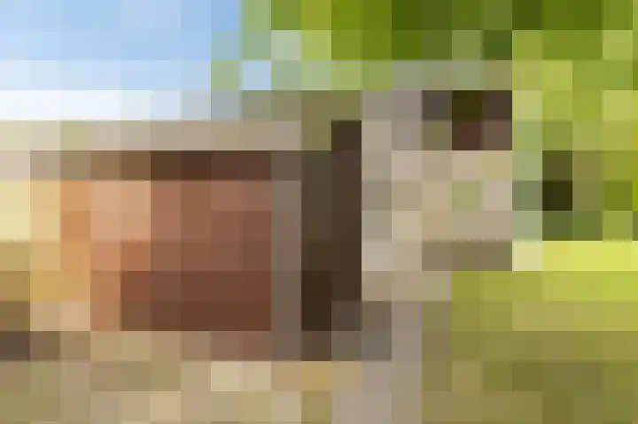 Heuvelweg 2 Vlagtwedde thumbnail 5