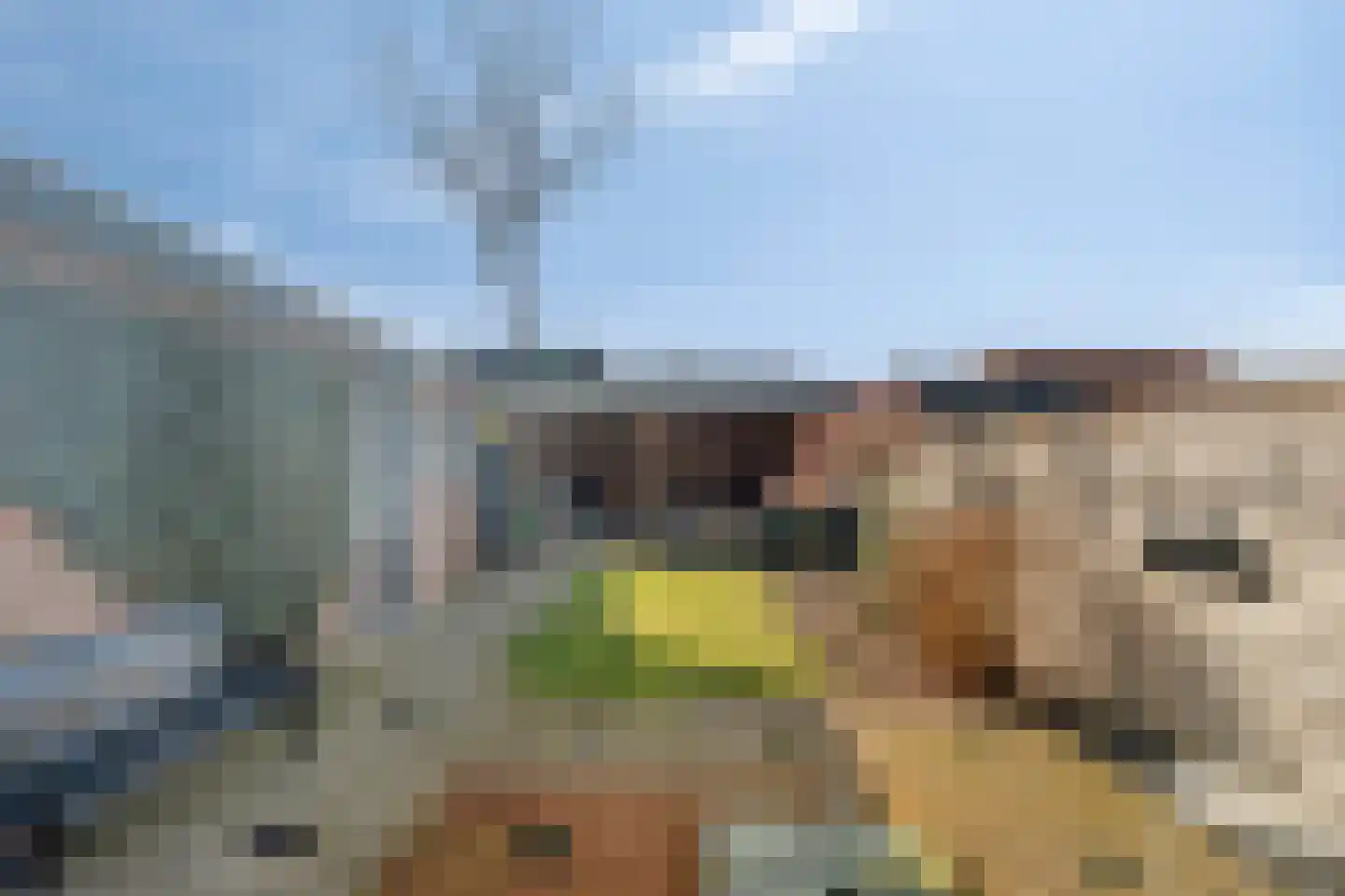 Heuvelweg 24 Nunspeet thumbnail 26