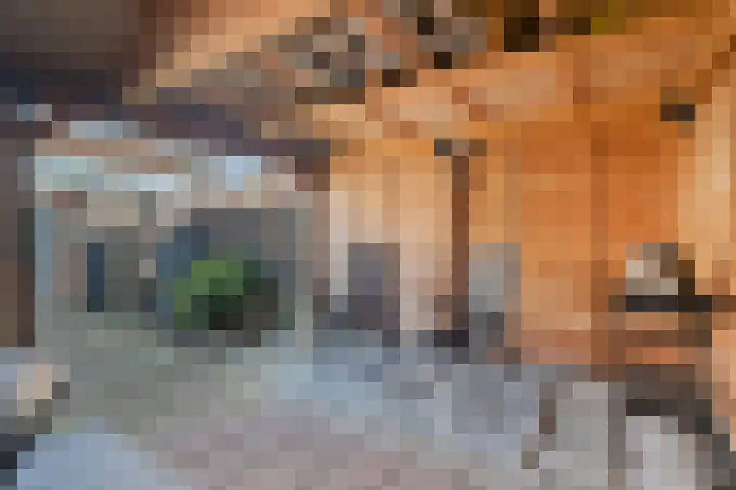 Heuvelweg 24 Nunspeet thumbnail 30