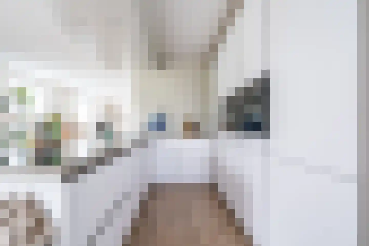 Heuvelweg 28 Weert thumbnail 12