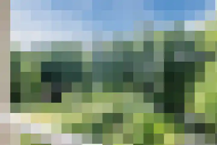 Heuvelweg 36 Vlagtwedde thumbnail 32