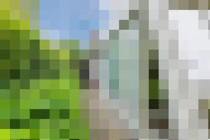 Heuvelweg 36 Vlagtwedde thumbnail 34