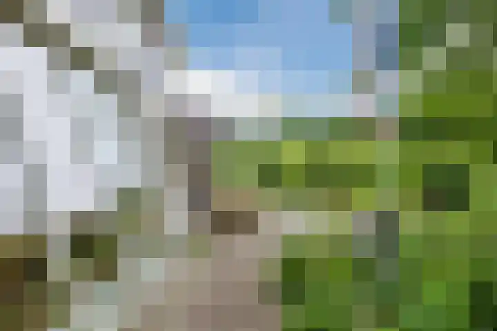 Heuvelweg 36 Vlagtwedde thumbnail 35