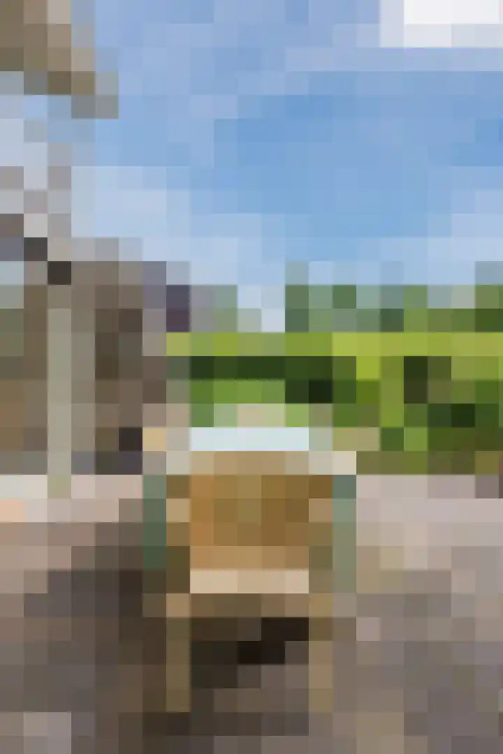 Heuvelweg 36 Vlagtwedde thumbnail 38