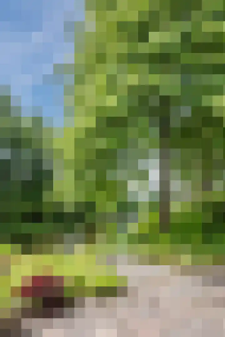 Heuvelweg 36 Vlagtwedde thumbnail 39