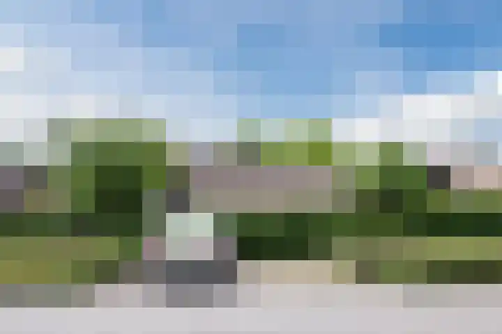 Heuvelweg 36 Vlagtwedde thumbnail 4