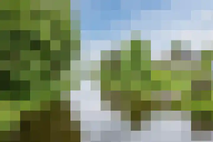 Heuvelweg 36 Vlagtwedde thumbnail 40