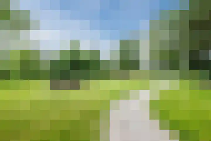 Heuvelweg 36 Vlagtwedde thumbnail 41