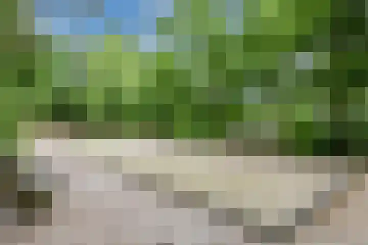 Heuvelweg 36 Vlagtwedde thumbnail 42