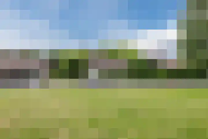 Heuvelweg 36 Vlagtwedde thumbnail 43