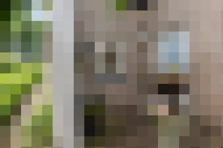 Heuvelweg 36 Vlagtwedde thumbnail 7