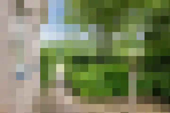 Heuvelweg 36 Vlagtwedde thumbnail 8