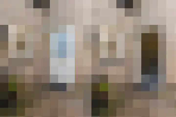Heuvelweg 36 Vlagtwedde thumbnail 9