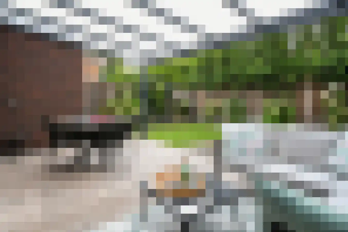 Heuvelweg 56 Weert thumbnail 36