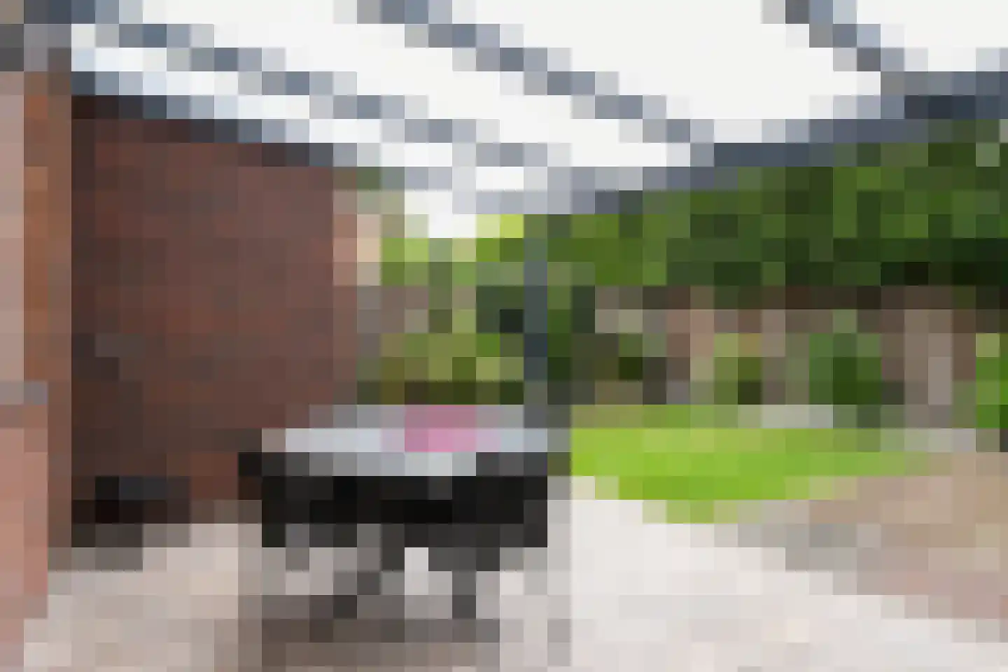 Heuvelweg 56 Weert thumbnail 37