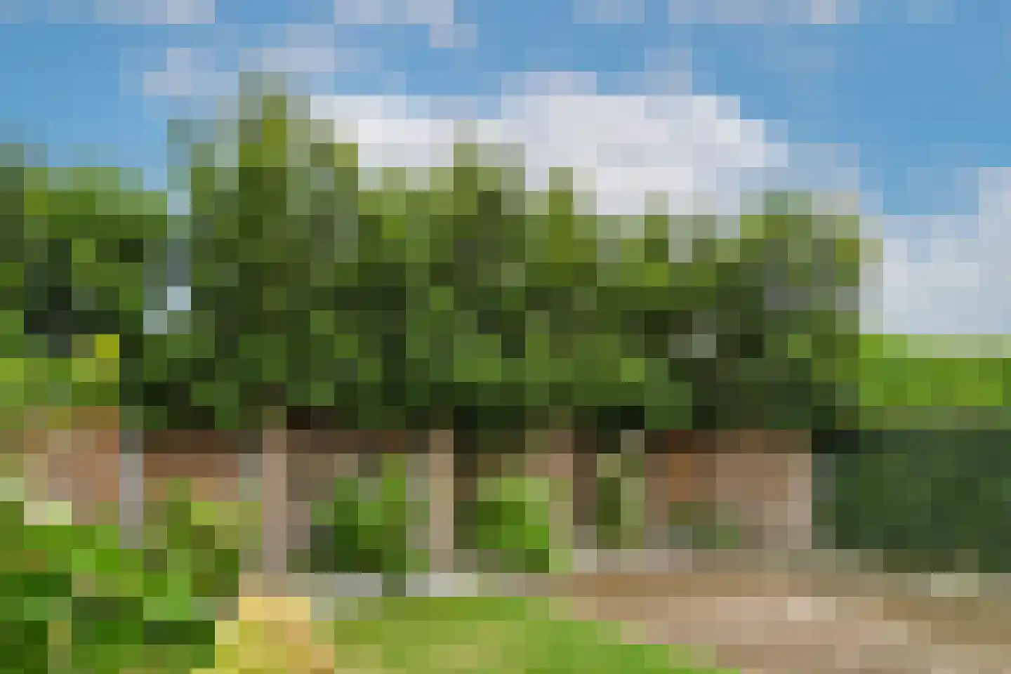 Heuvelweg 56 Weert thumbnail 41