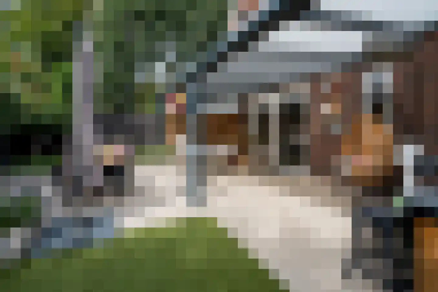 Heuvelweg 64 Weert thumbnail 60