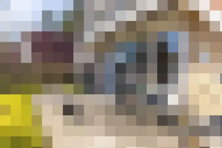 Heuvelweg 71 Vlagtwedde thumbnail 31