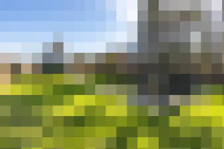 Heuvelweg 71 Vlagtwedde thumbnail 32