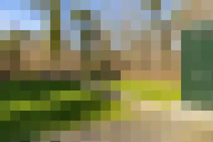 Heuvelweg 71 Vlagtwedde thumbnail 36