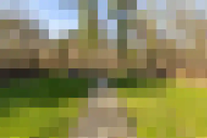 Heuvelweg 71 Vlagtwedde thumbnail 37