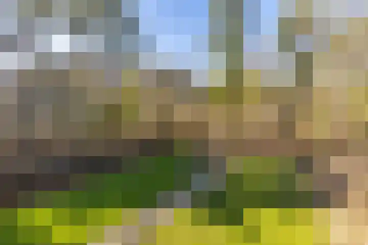 Heuvelweg 71 Vlagtwedde thumbnail 38