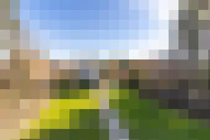 Heuvelweg 71 Vlagtwedde thumbnail 39