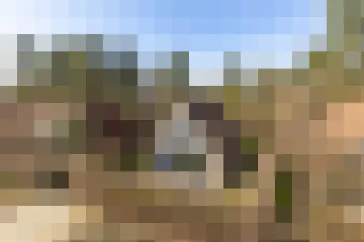 Heuvelweg 71 Vlagtwedde thumbnail 43