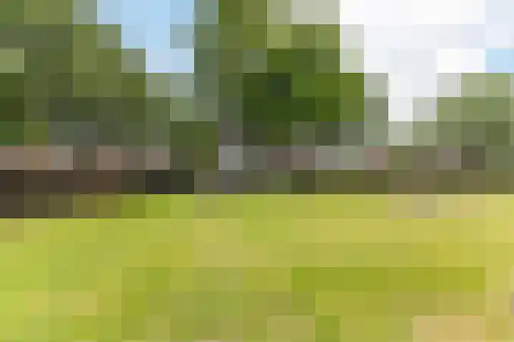 Heuvelweg 90 Weert thumbnail 29