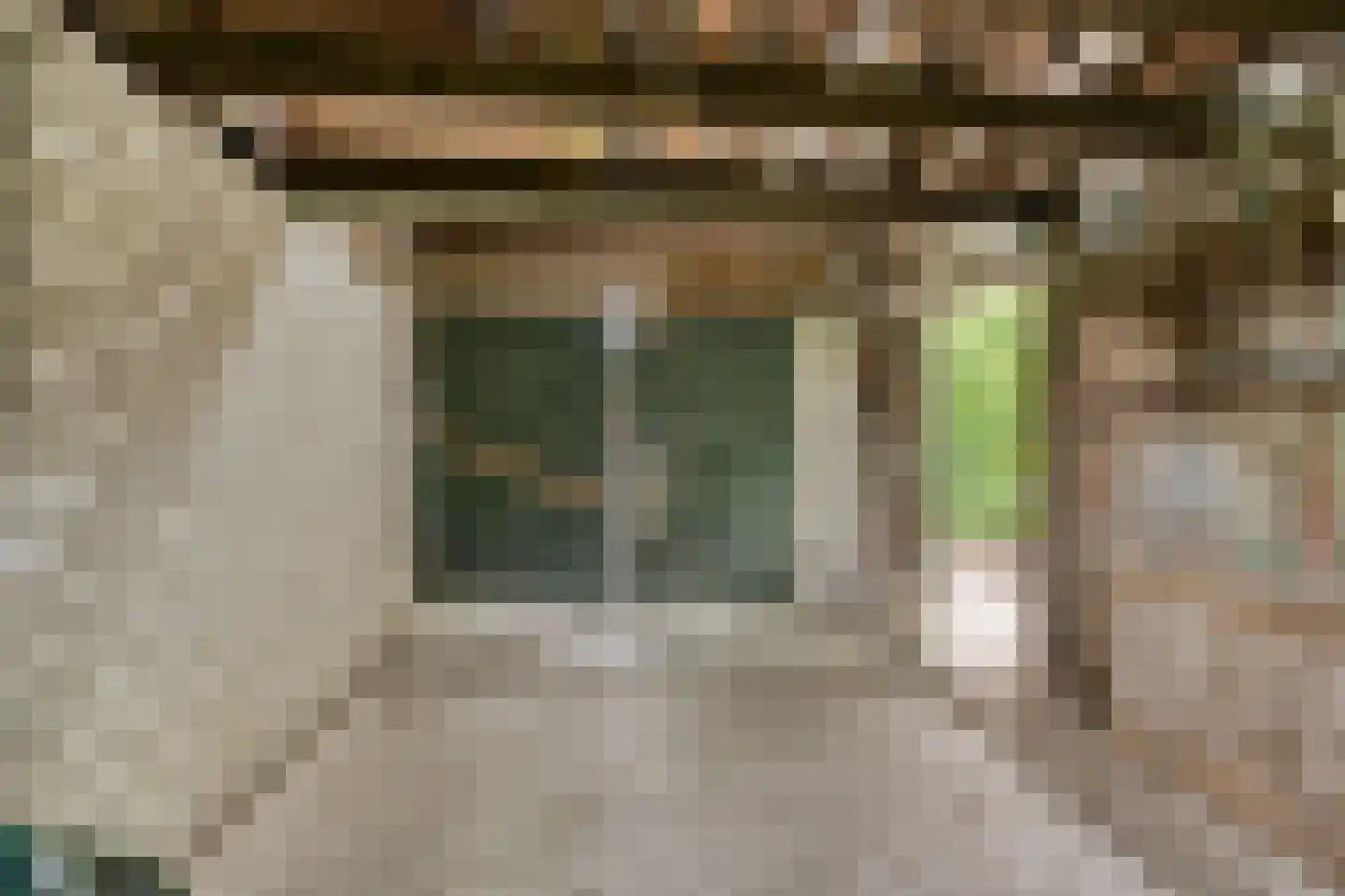 Heuvelwijkstraat 12 Lith thumbnail 34
