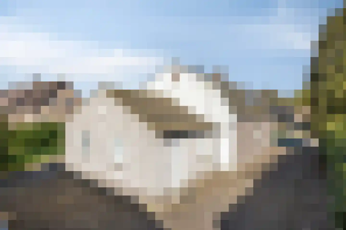 Heuvelwijkstraat 12 Lith thumbnail 36