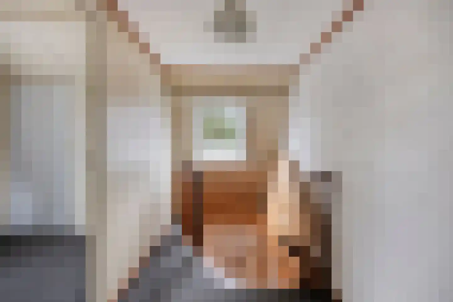 Heuvelwijkstraat 12 Lith thumbnail 37