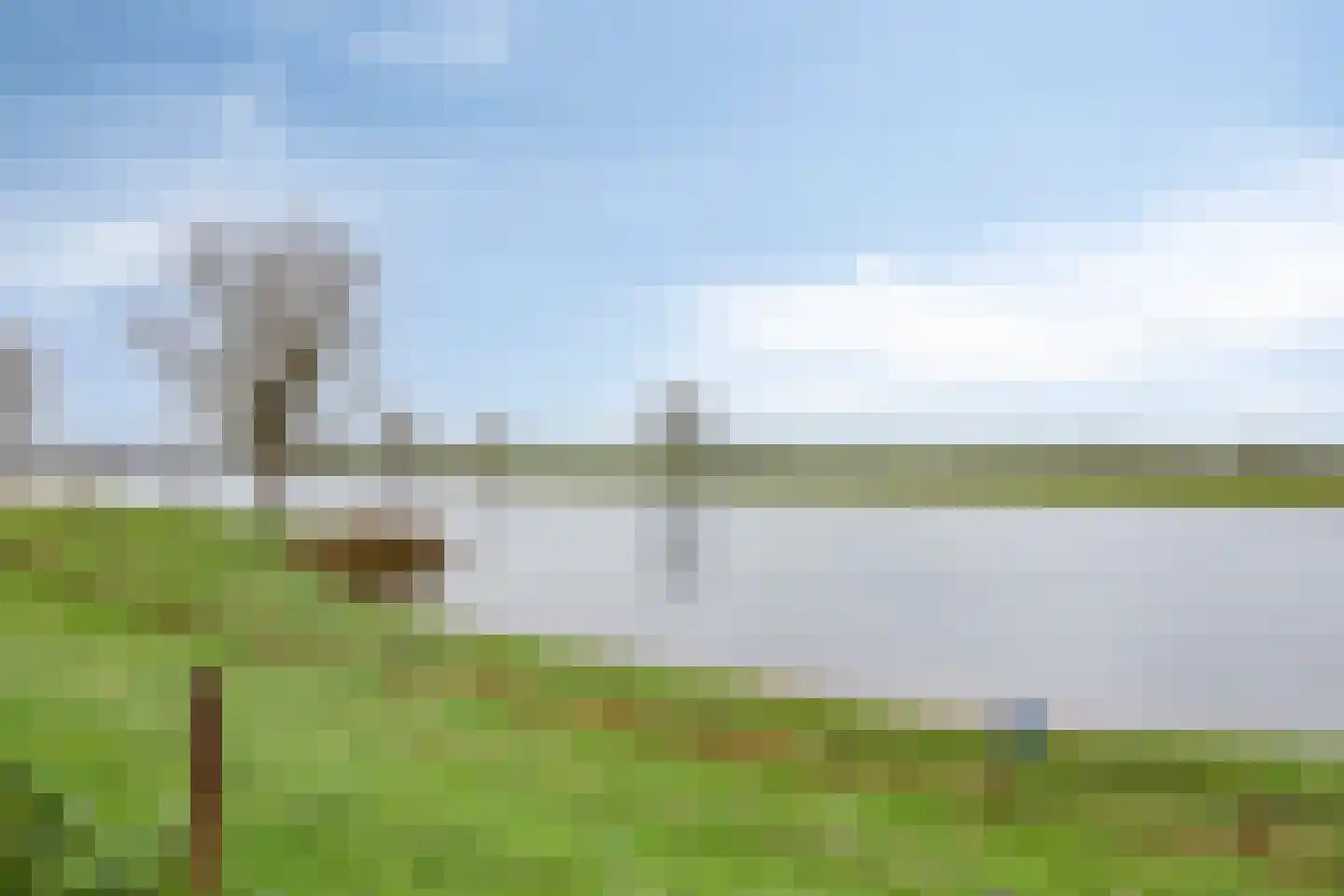 Heuvelwijkstraat 12 Lith thumbnail 48
