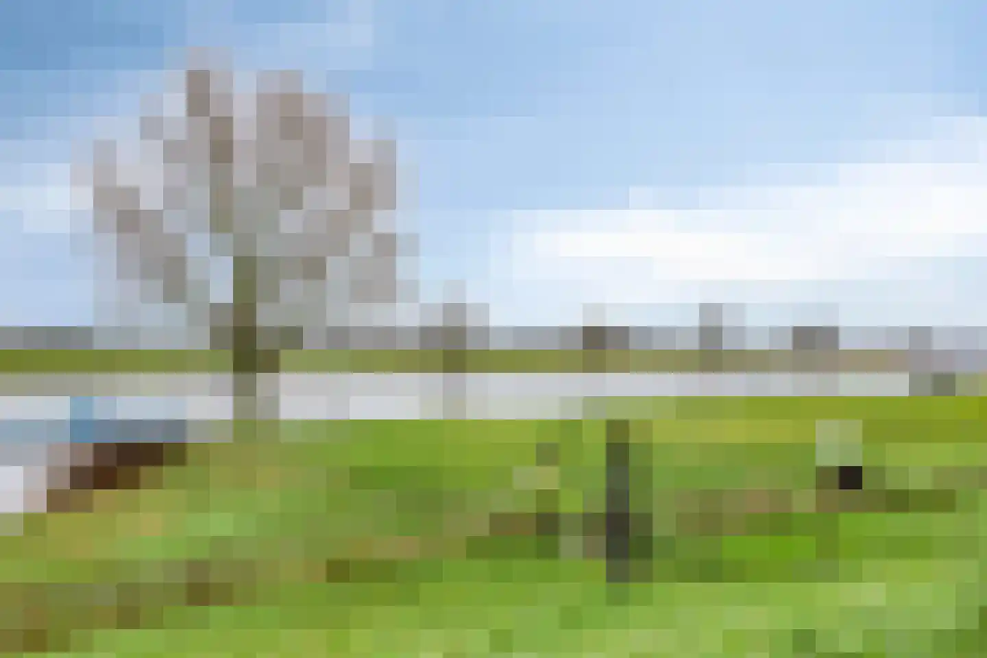 Heuvelwijkstraat 12 Lith thumbnail 49