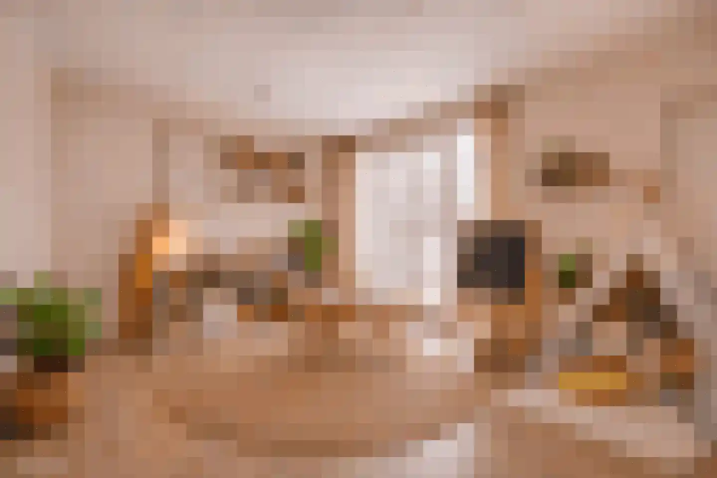 Heuvelwijkstraat 6 Lith thumbnail 30