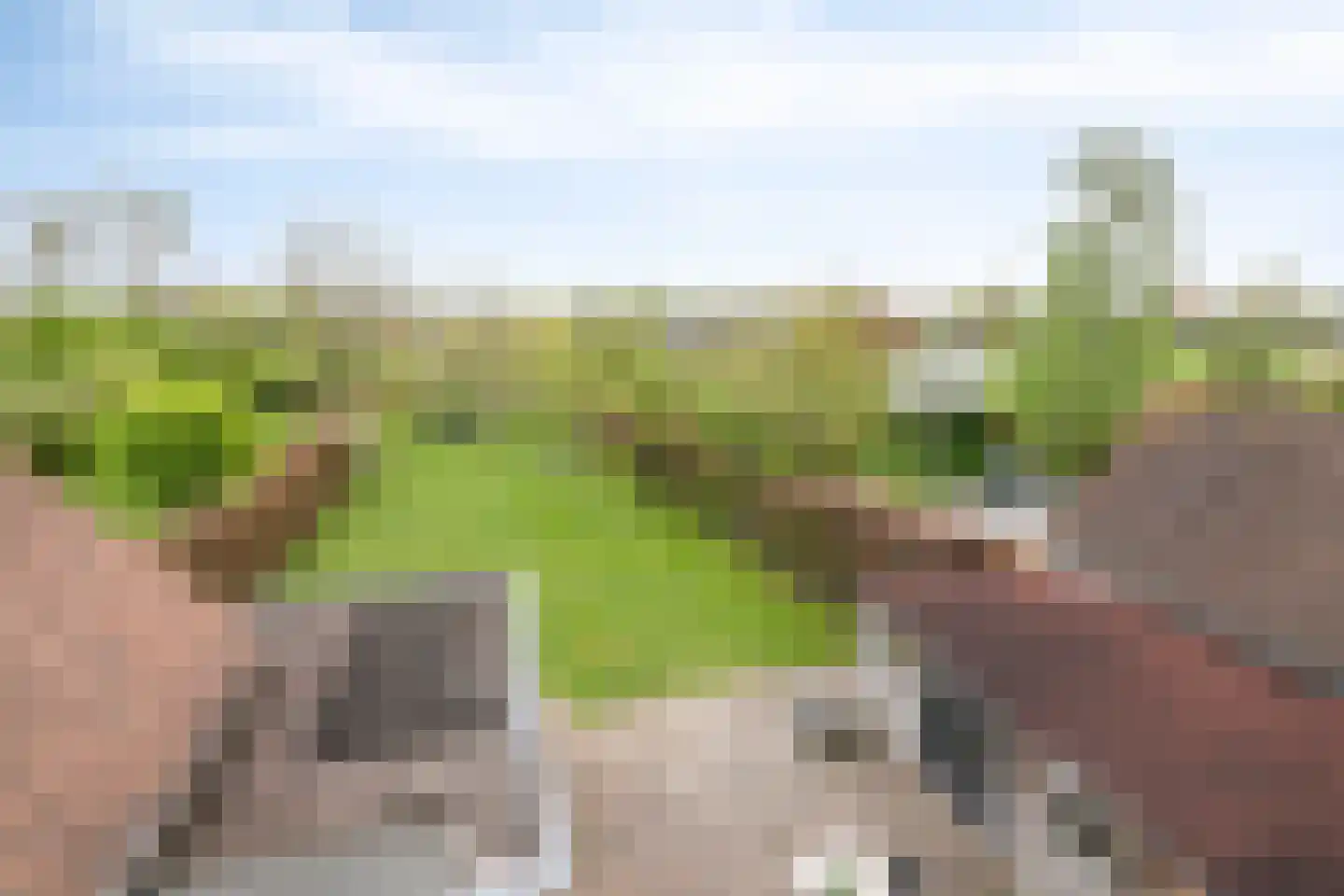 Heuvelwijkstraat 6 Lith thumbnail 35