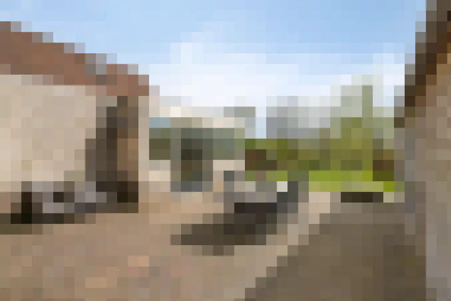 Heuvelwijkstraat 6 Lith thumbnail 37