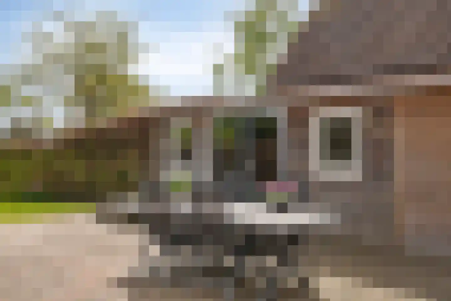 Heuvelwijkstraat 6 Lith thumbnail 38