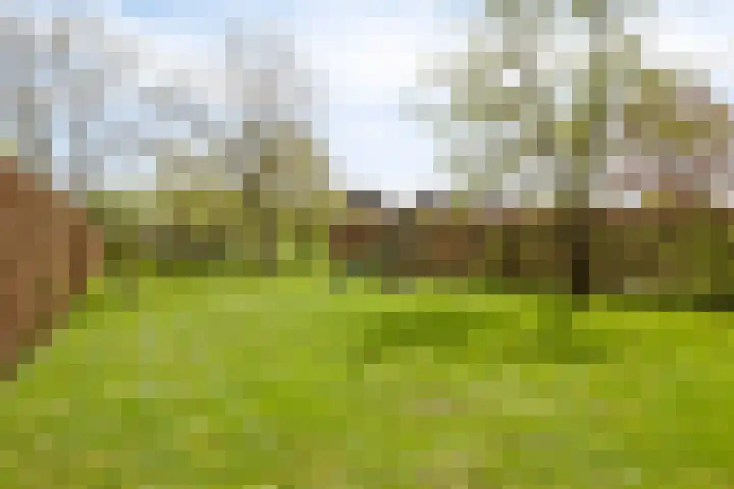 Heuvelwijkstraat 6 Lith thumbnail 40