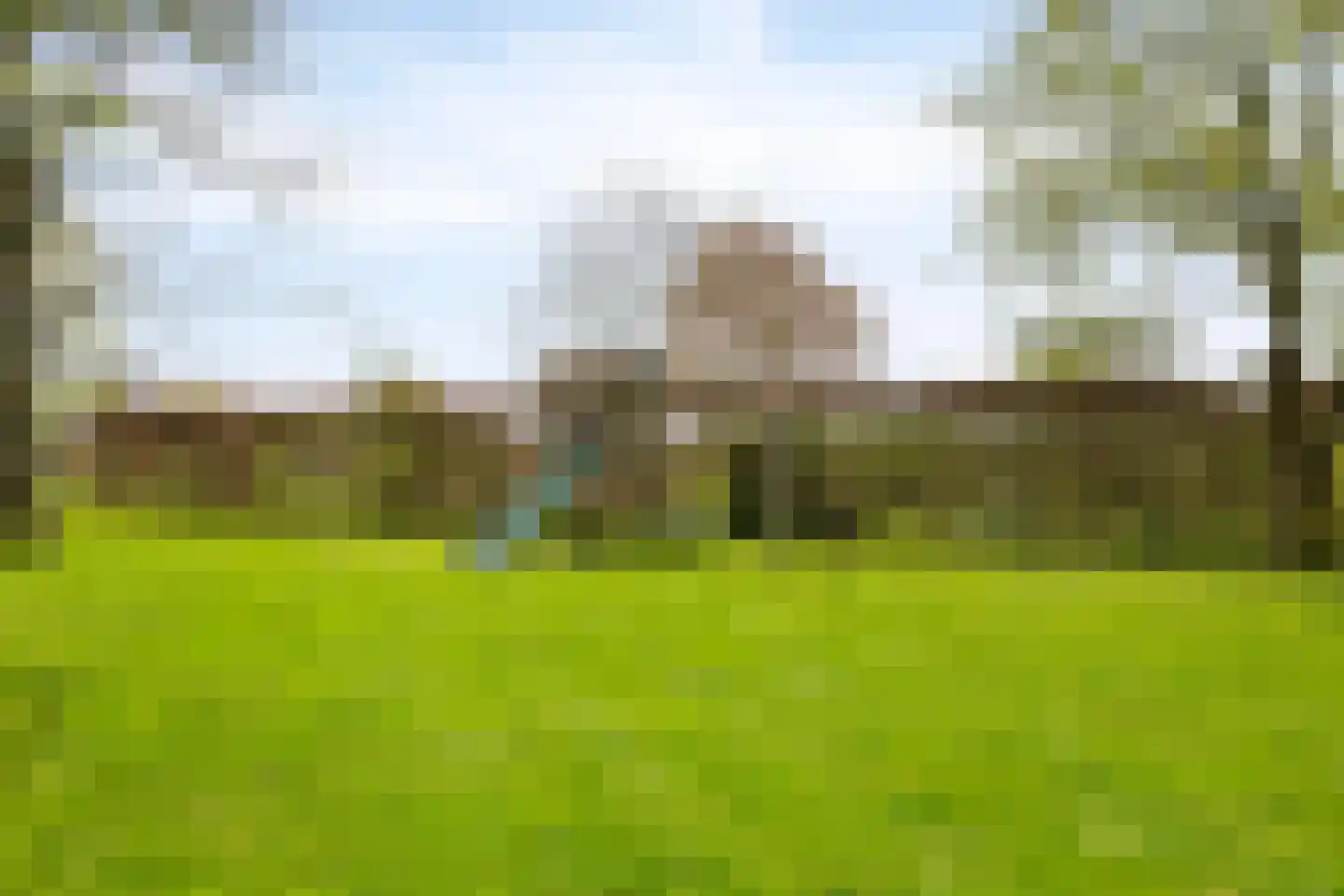 Heuvelwijkstraat 6 Lith thumbnail 41