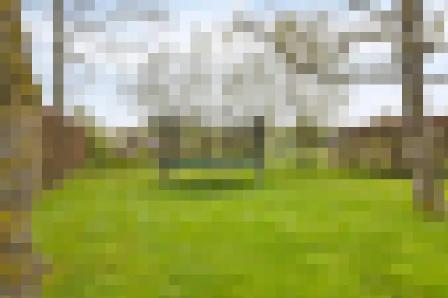 Heuvelwijkstraat 6 Lith thumbnail 42