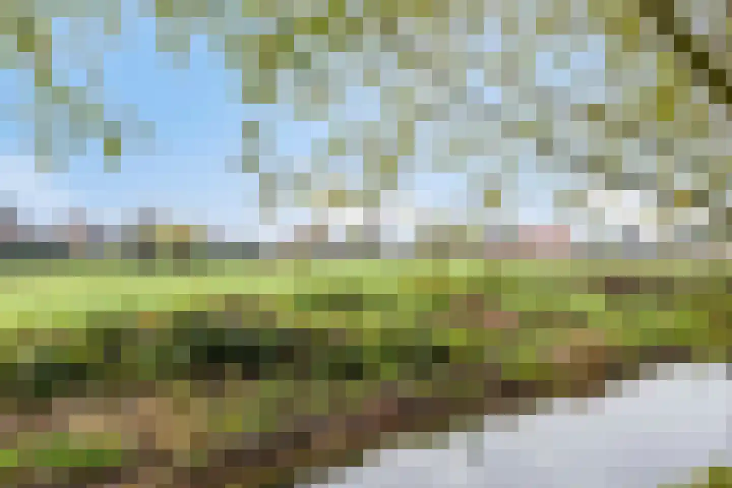 Heuvelwijkstraat 6 Lith thumbnail 49