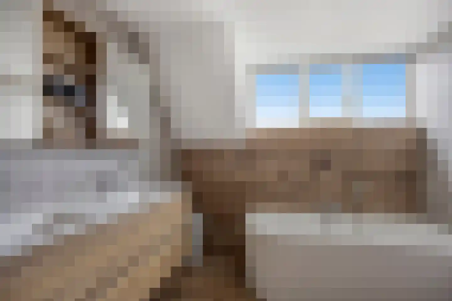 Heuvelwijkstraat 6 Lith thumbnail 5