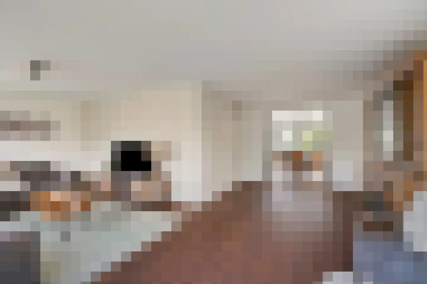 Heuvelwijkstraat 6 Lith thumbnail 7