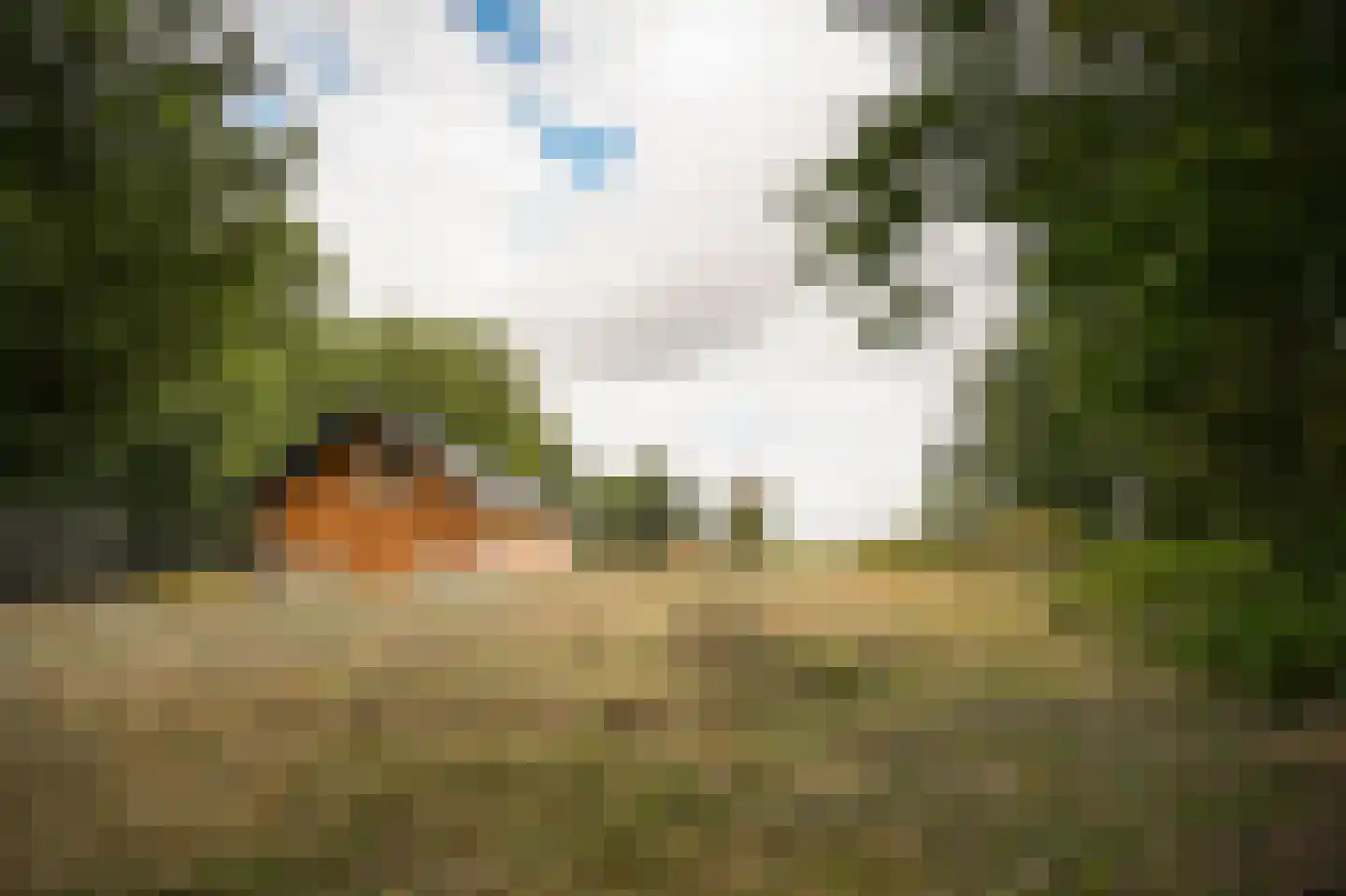 Heuvenseweg 4 Terborg thumbnail 12