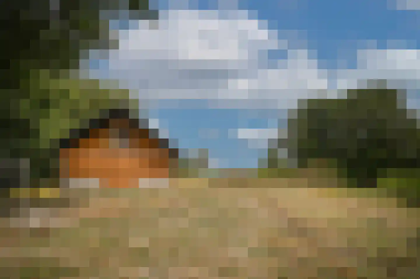 Heuvenseweg 4 Terborg thumbnail 17